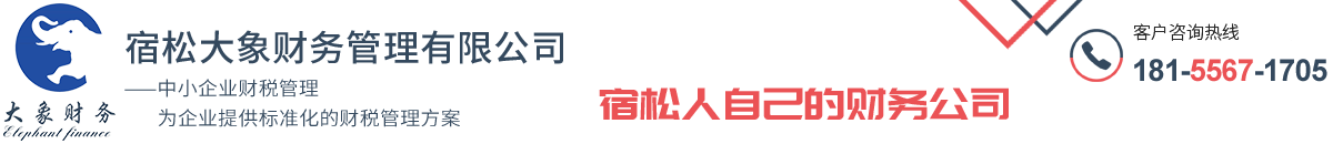 宿松大象財務管理有限公司